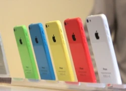 iPhone 5c ế hàng, Apple cay đắng giảm nửa sản lượng