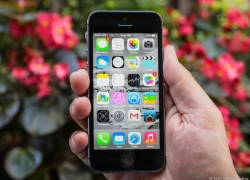 iPhone 5s giúp Apple lấy lại &#8220;lợi thế&#8221; trên sân nhà