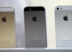 iPhone 5S quay đầu tăng giá