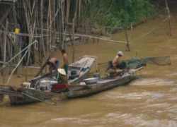 Lo cứu cha, 2 anh em ruột bị điện giật tử vong