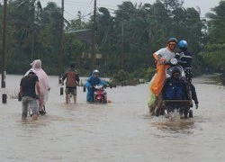 Lũ về, chạy không kịp!