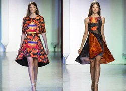 Những chiếc váy độc đáo của Peter Pilotto