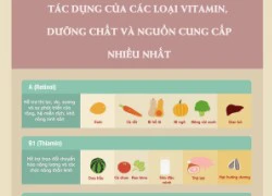 Những nguồn thực phẩm bổ sung vitamin dồi dào nhất