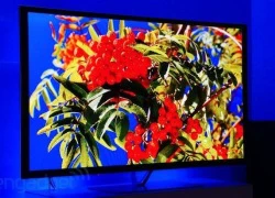 Panasonic sắp ngừng bán TV plasma để tập trung vào TV OLED