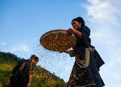 Rong chơi miền Tây Bắc những ngày mùa