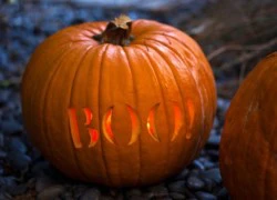 Tỉa bí ngô trưng bày dịp Halloween