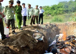 Tiêu hủy 600 kg thịt gà nhập lậu