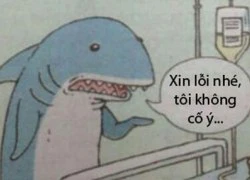 Tranh vui: Cá mập hô hấp là... mồm mấp mô