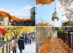 Tuyệt tác mùa thu Seoul