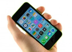 Vì sao iPhone 5c của Apple ế?