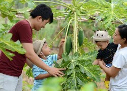 Vợ chồng thường khắc khẩu