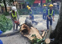 Vụ giám đốc DN công ích nhận lương 'khủng': Chuyển hồ sơ liên quan cho công an