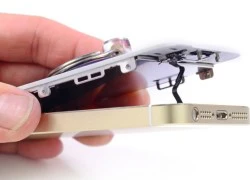 Apple cung cấp màn hình iPhone 5s/5c, chưa có nút home Touch ID