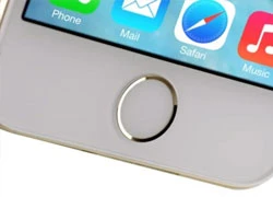 Apple đăng kí bằng sáng chế cho Touch ID