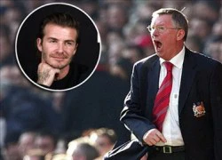 Beckham gọi Sir Alex là "bố già"