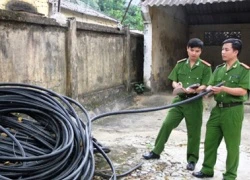 Bị đuổi việc, thuê người cắt 600 m cáp viễn thông của cơ quan cũ