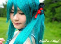 Bộ ảnh cosplay vocaloid cực dễ thương (p1)