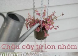 Chậu cây từ lon nhôm