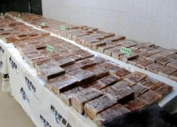 Chính phủ yêu cầu làm rõ vụ lọt 230 kg heroin qua Tân Sơn Nhất