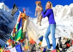 Chú chó đầu tiên chinh phục đỉnh Everest