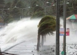 cuồng phong Haiyan quần nát Philippines