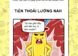 Công ty hoa quả phần 10