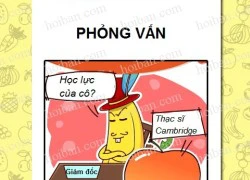 Công ty hoa quả phần 19