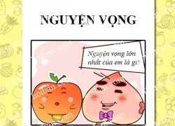 Công ty hoa quả phần 20