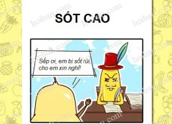 Công ty hoa quả phần 28