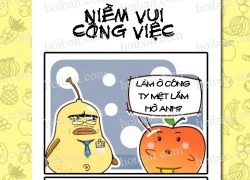 Công ty hoa quả phần 68