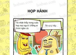 Công ty hoa quả phần 7