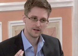 Cựu nhân viên tình báo Mỹ Snowden tìm được việc làm tại Nga