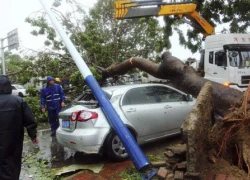 Đã có 8 người thiệt mạng tại Trung Quốc vì siêu bão Hải Yến