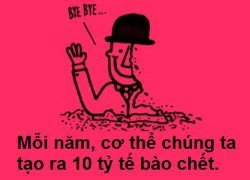 Fun facts: Cơ thể tạo ra 10 tỷ tế bào chết mỗi năm