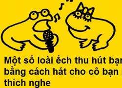 Fun facts: Ếch hát 'tán' bạn tình