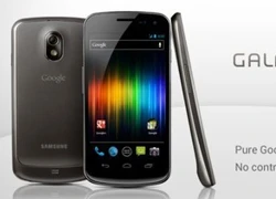 Hàng ngàn người dùng Galaxy Nexus kí đơn yêu cầu Google cập nhật Kitkat