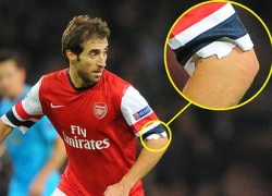 HLV Wenger cảnh cáo Flamini vì cắt ống tay áo