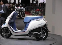 Honda Dunk phong cách 'cute' tại Tokyo Motor Show 2013