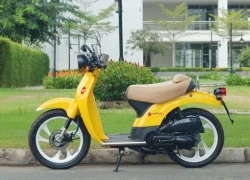 Honda SGX 50 Sky &#8211; scooter &#8216;có một không hai&#8217; tại Việt Nam