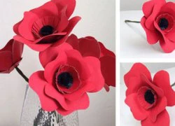 Khéo tay làm bông hoa poppy giấy xinh xinh