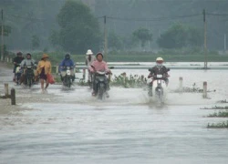 Lũ dữ chưa dứt, Phú Yên tiếp tục bị "ngăn sông cấm chợ"