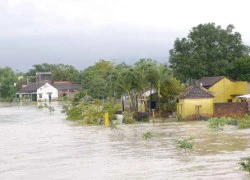 Miền Trung chìm trong lũ lớn