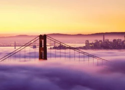 Một mùa hè lạnh lẽo ở San Francisco