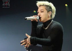 Netizen ủng hộ nhiệt tình Taeyang Mỹ tiến