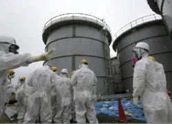 Nhật sắp di dời nhiên liệu hạt nhân tại Fukushima