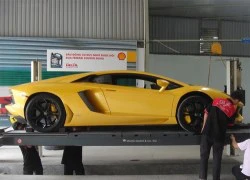 Những lần xuất hiện hiếm hoi của Aventador màu vàng tại VN