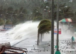 Siêu bão Haiyan mạnh cỡ nào?