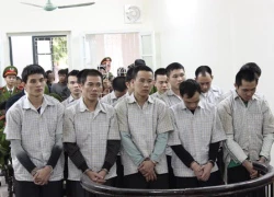 &#8216;Tập đoàn&#8217; trộm gỗ sưa liên tỉnh lĩnh án