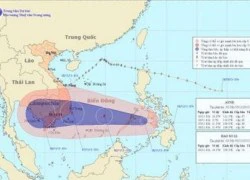 TPHCM chỉ đạo khẩn ứng phó bão số 12