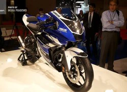 Yamaha giới thiệu bản concept 250 phân khối R25